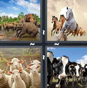 4 pics 1 word 5 letters dairy farmer
